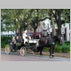 P1100284 Savannah.jpg